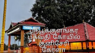 ஶ்ரீ பூக்குளங்கர பகவதி கோயில், குனிசேரி, பாலக்காடு, கேரளா