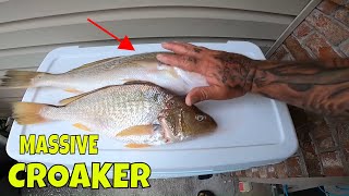 Cooking the BIGGEST Croaker I have ever SEEN