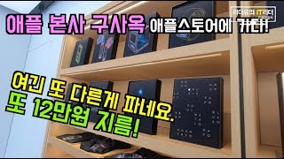 다 사고 싶다! 애플 본사 구사옥 애플스토어 가볼까요! 지름은 계속된다~ - apple store