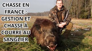 Chasse en France : Gestion et Chasse à Courre au Sanglier