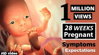 28 Weeks Pregnant Baby Position | Health Care Tips For Pregnant Women
