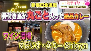 【新梅田食道街】これが噂の骨付き鳥カレー【ワイン酒場 すぱいす・かりー Shioya】