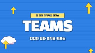 TEAMS 조직 개발 워크숍