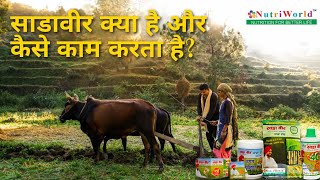 साडा वीर क्या है और कैसे काम करता है?