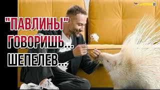 Дмитрий Шепелев "в кругу друзей"- "Павлины" говоришь..!А кладбище в Мариуполе видел?#украина #война