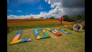 (機車旅遊)2022-0817環島之旅(六十石山日出+客城鐵橋＋赤柯山金針花)(4K)