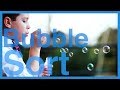 Bubble Sort Algorithm