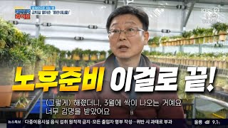 금퇴길 열어준 '풍란(부귀란)' 노후준비 이걸로 끝!