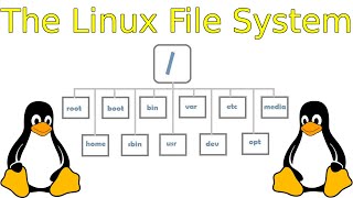 The Linux File Structure Explained