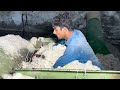 incredible recycling process of waste clothes to make white cotton in local factory