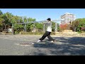 【揉身連環八卦掌】転掌 双撞掌 shuangzhuangzhang gao syle baguazhang