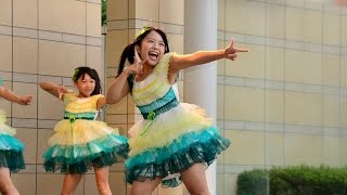 キャベツ畑のお嬢様 in LABI1高崎 群馬のキャベツはNo.1