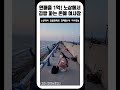 연매출 1억 노상에서 김밥 파는 존예 여사장 shorts