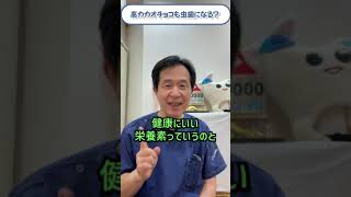 高カカオチョコも虫歯になる？歯医者がわかりやすく解説！！＃shorts