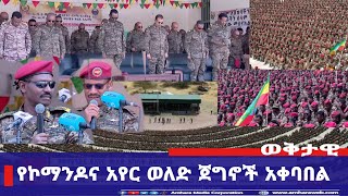 የኮማንዶና አየር ወለድ አባላት አቀባበል