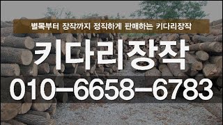 참나무장작은 키다리장작에서!