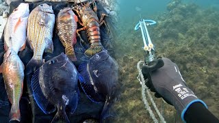 The Most Dangerous Time To Go Spearfishing | Sharks Attack In These Waters So Don't Try This