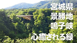 宮城県の景勝地・鳴子峡の新緑。心癒される緑