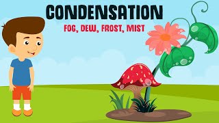 Condensation and it's forms | Dew, Fog, Frost and Mist | Video for Kids