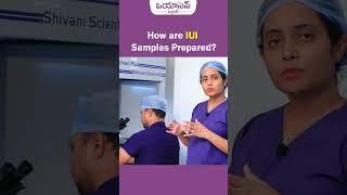 ల్యాబ్ లో IUI శాంపిల్ ఎలా ప్రాసెస్ చేస్తారు| How are IUI Samples Processed | Oasis Fertility #shorts