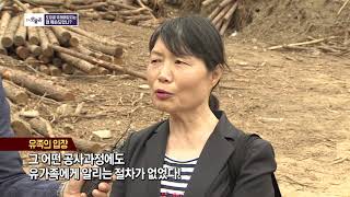 충북오늘은- 도장골은 왜 훼손되었나 편