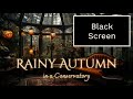 8 h BLACK SCREEN Rainy Autumnal Day in a Conservatory Ambience and Music 🍂 | cozy autumn atmosphere