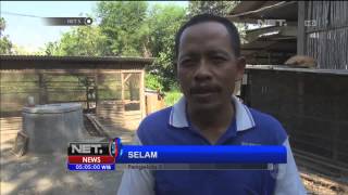 Biogas dari limbah pengolahan tahu - NET5