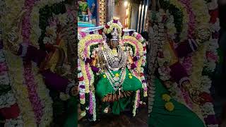 Sri putalaya amman temple 4th day #pondicherry #temple #aadithiruvizha #sriputalayaamman temple