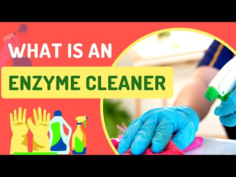 Which cleaners are enzyme cleaners?