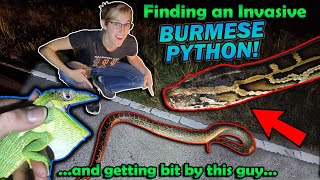Finding INVASIVE Reptiles in Florida!