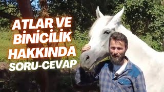 Atlar ve Binicilik Hakkında Sık Sorulan Sorulara Cevaplar 🐴