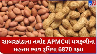 Mandi: સાબરકાંઠાના તલોદ APMCમાં મગફળીના મહત્તમ ભાવ રૂપિયા 6870 રહ્યા |Tv9News