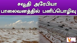 சவூதி அரேபியா பாலைவனத்தில் பனிப்பொழிவு | Snowfall | Saudi Arabia