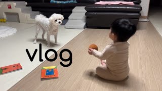 VLOG | 아기랑 ktx, 설 연휴 알차게 보내기, 친정에서 일주일, 문화센터 일일특강 촉감놀이, 10개월아기 일상, 애개육아 👶🏻🐶