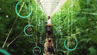 Powerful data and AI tools for the FMCG and agricultural sectors