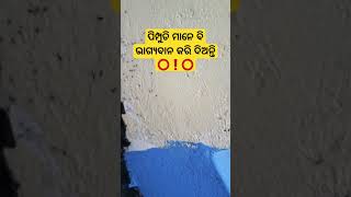 ସୋମବାର ଦିନ ଏହି କାମ କରନ୍ତୁ ପିମ୍ପୁଡି ବି ଭାଗ୍ଯବାନ କରିଦେବେ #anuchinta #subscribe #yt #shorts #viral #vid