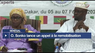 Sénégal : Ousmane Sonko appelle à la remobilisation des États africains pour la reforestation