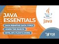 Java Essentials: Mastering Primitive Data Types