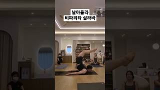 [무이스요가] 하타요가/ 날아올라, 비파리타 살라바사나 #요가 #하타요가 #쇼츠 #yoga #hathayoga #shorts