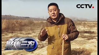 【Three Rural Issues】20171204 | CCTV Agriculture