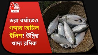 Crisis of Hilsa Fish continues in Ganga and Rupnarayan| ভরা বর্ষাতেও গঙ্গায় অমিল ইলিশ!