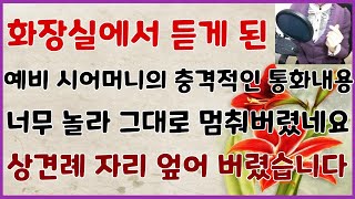 [상견례 파혼썰] 화장실에서 듣게 된 예비 시어머니의 충격적인 통화내용 너무 놀라 그대로 멈춰버렸네요 상견례 자리 엎어 버렸습니다[사연읽어주는언니]