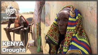 Kenya drought: More than 3M livestock dead and 1M people homeless