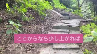 目指せ隠居生活(岡山　吉備津神社，吉備津彦神社他散策)