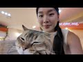 korea vlog │ exploring seoul meeting up with new friends shopping u0026 eating my way around the city