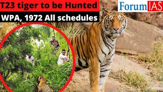 Killing of Tiger T23 | Wildlife Protection Act, 1972 - All schedules | News Simplified | ForumIAS