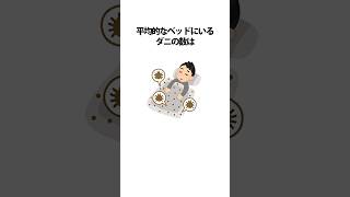 【聞き流し】ほとんどの人が知らない意外な事実56【作業用・睡眠用】 #トリビア #豆知識