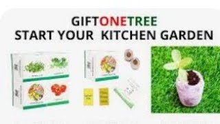 Growing #ecofriendlykit part 1 ||200 subscribers\u00261year completion special@giftonetree