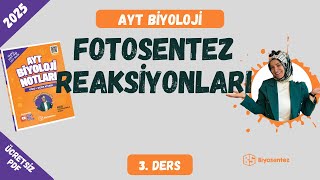 47) Fotosentez Işığa Bağımlı ve Işıktan Bağımsız Reaksiyon Konu Anlatımı / Ücretsiz PDF / 2025