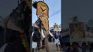 ഗുരുവായൂർ ഇന്ദ്രസൻ | Guruvayur indresan | അന്നംകുളങ്ങര പൂരം | Annamkulangara pooram 2024